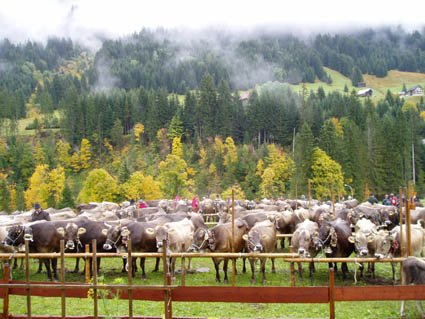 15 blick alle08-2