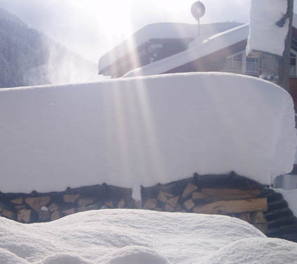 bild winterholzbiig bild winterholzbiig