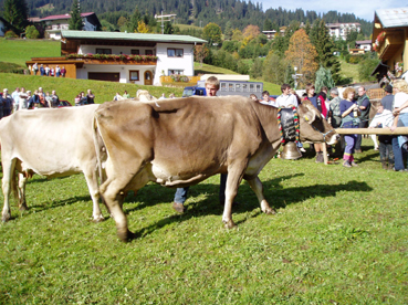 hp07 ak rup